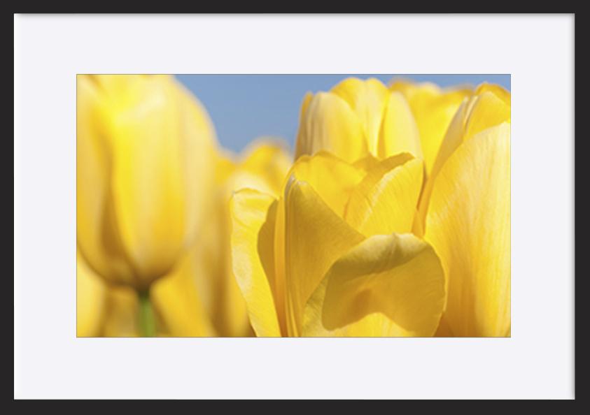 paper_frame