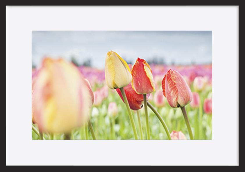 paper_frame