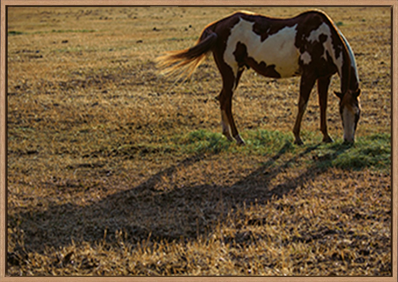 canvas_frame