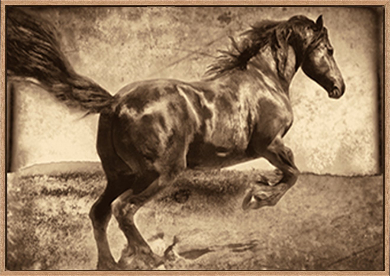 canvas_frame
