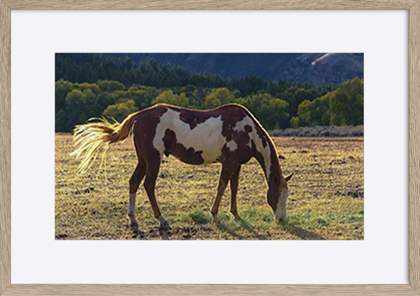 paper_frame