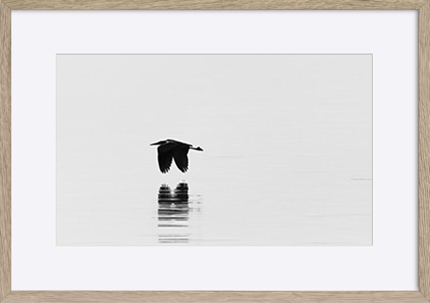 paper_frame
