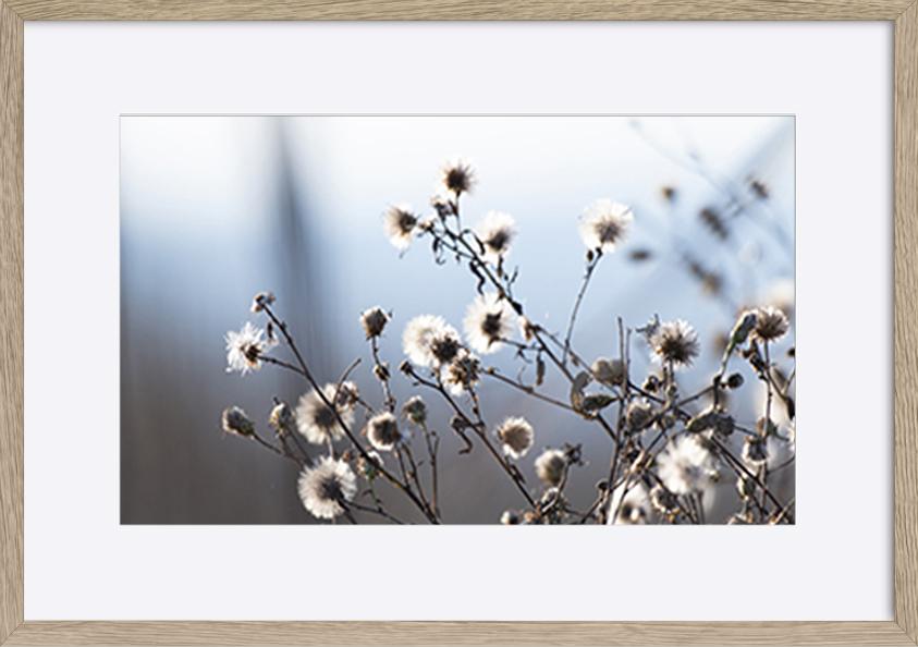paper_frame