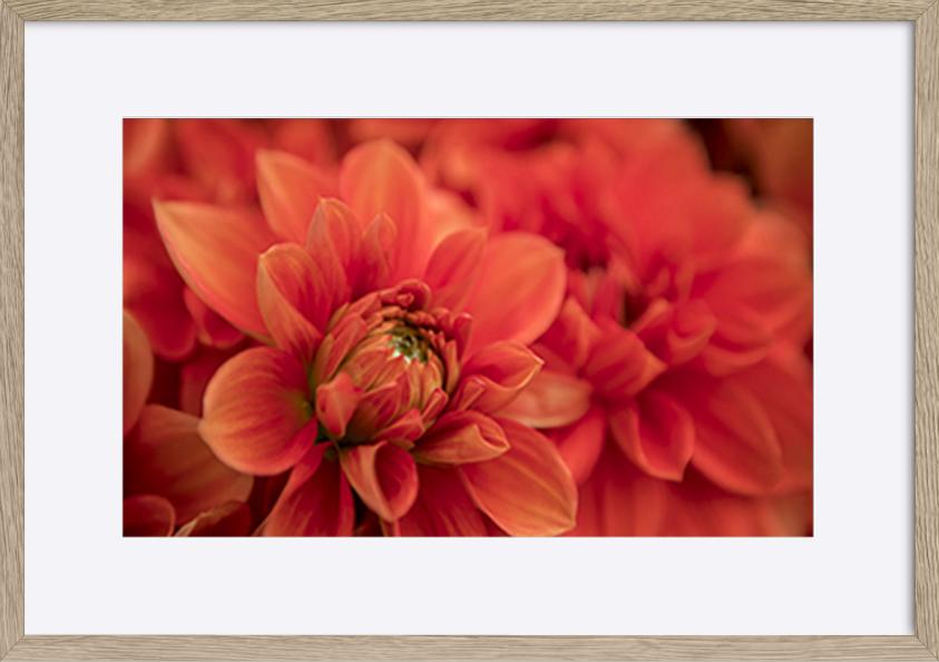 paper_frame
