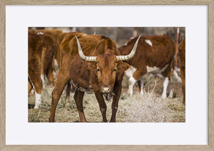 paper_frame