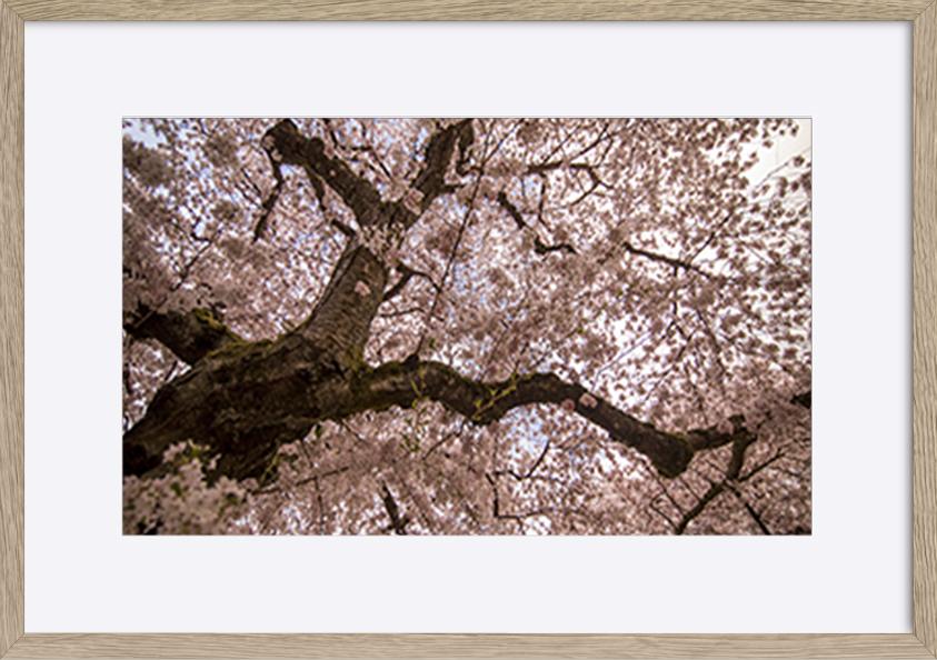 paper_frame