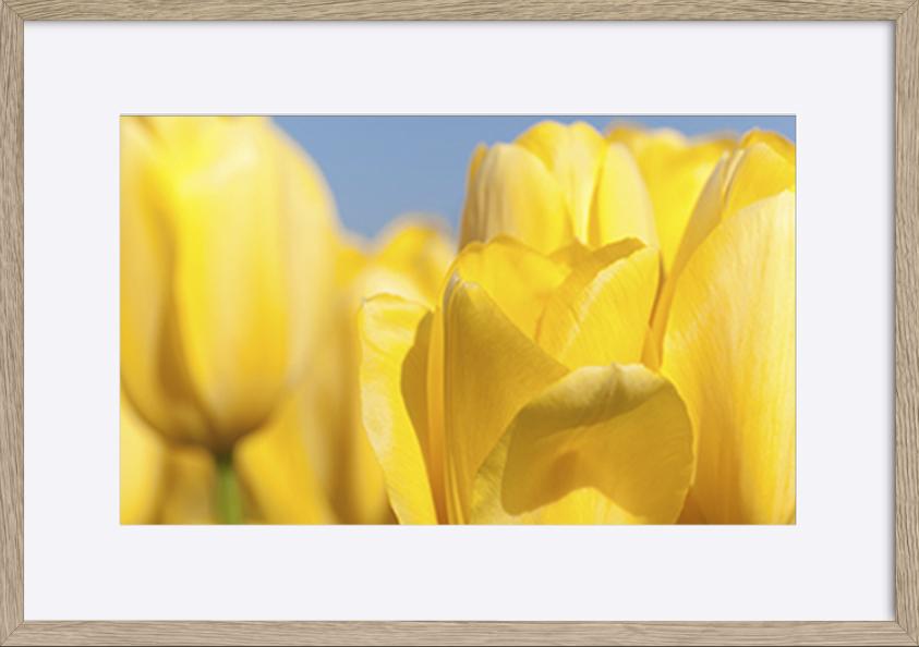 paper_frame