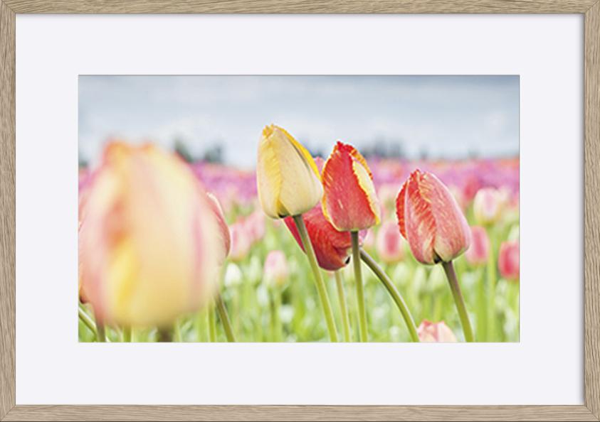 paper_frame