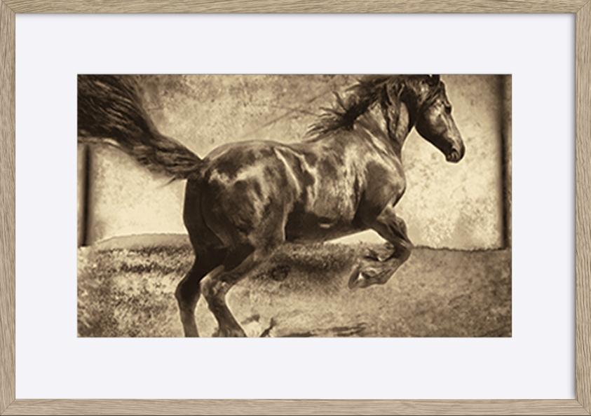 paper_frame