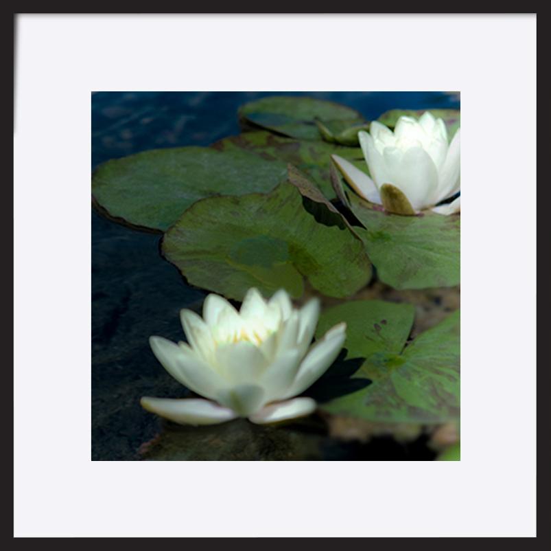 paper_frame