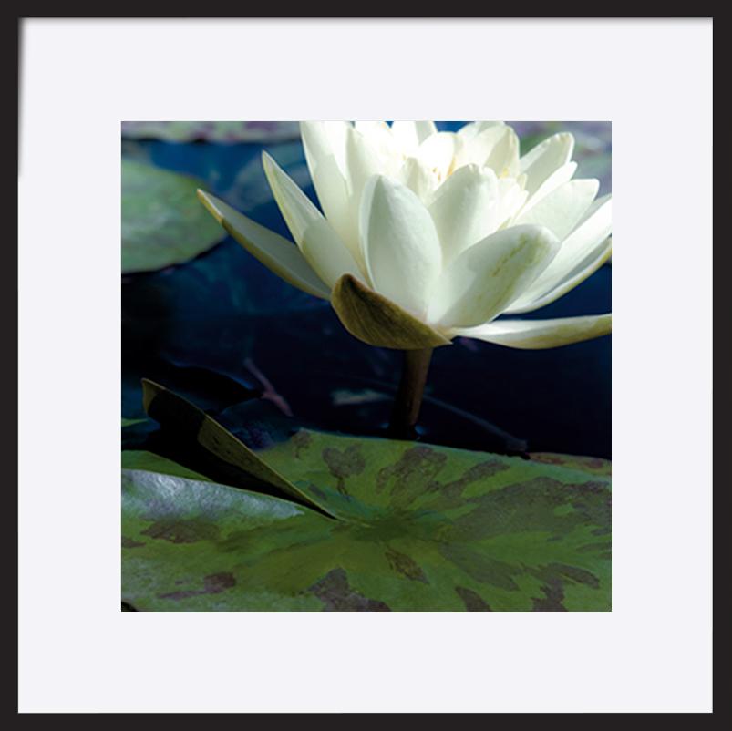 paper_frame