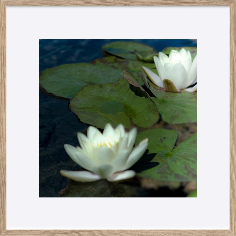 paper_frame