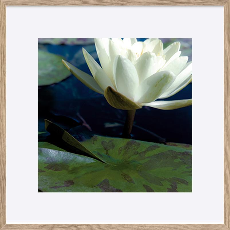 paper_frame