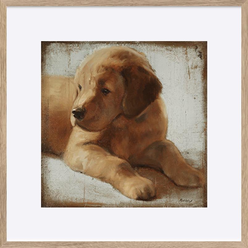 paper_frame