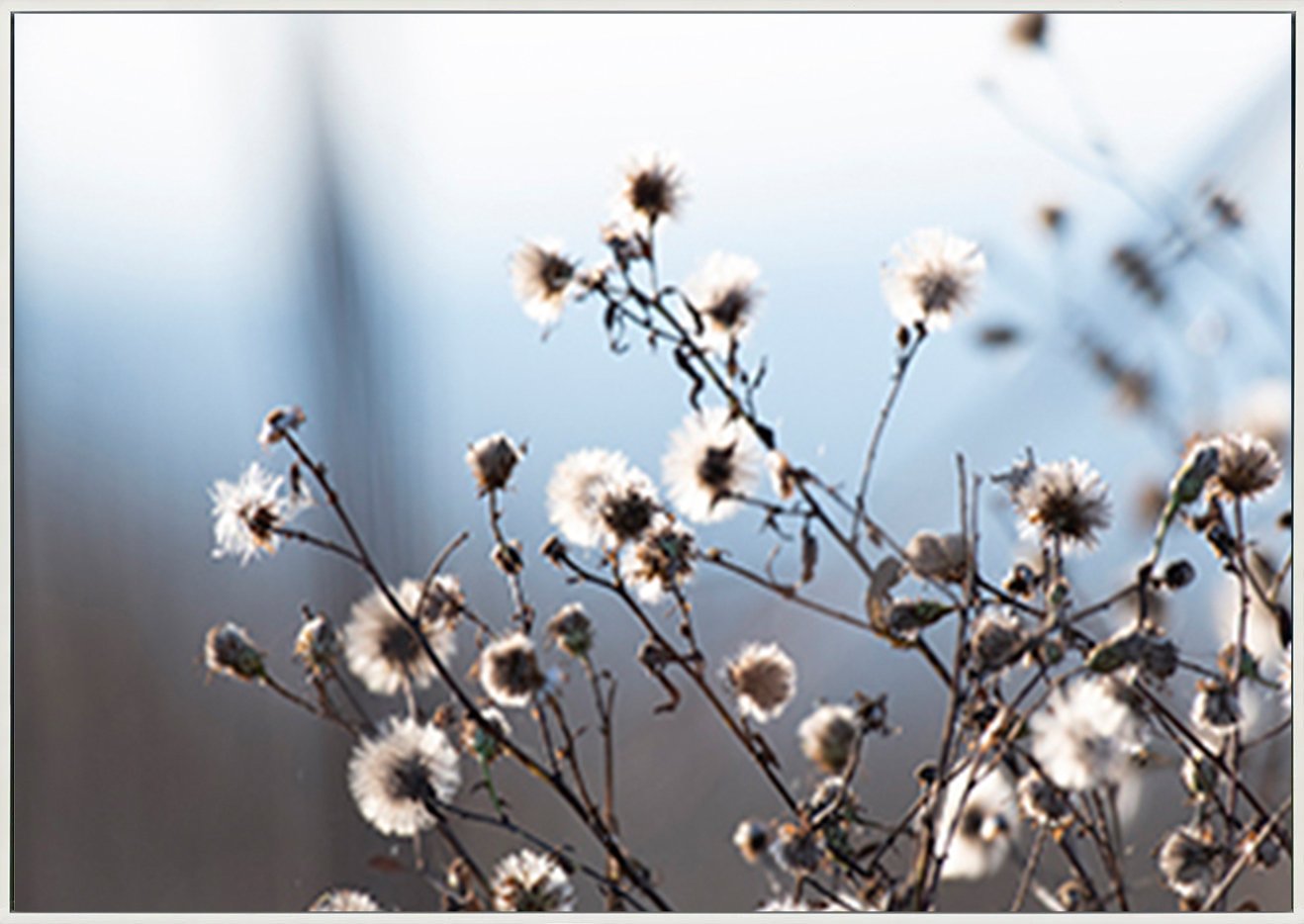 canvas_frame