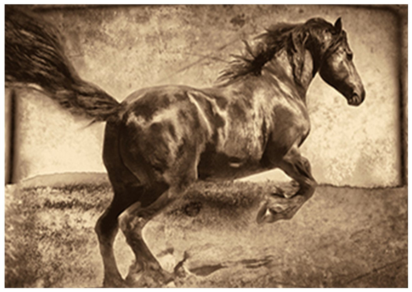 canvas_frame