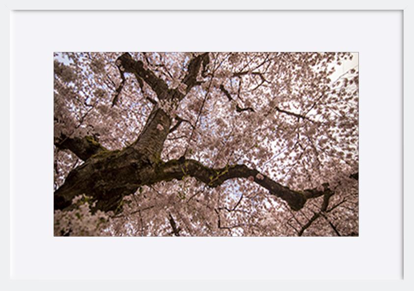 paper_frame