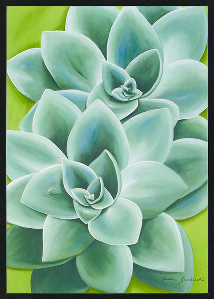 Anita Siedlecki - Succulents ANS002 in A2 black frame