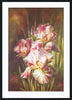 Anonymous AV01 Nanas Choice 1