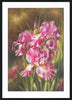 Anonymous AV02 Nanas Choice 2 in black frame
