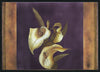 Carol Sawna CS01 Beaute I 594x420mm in black frame.
