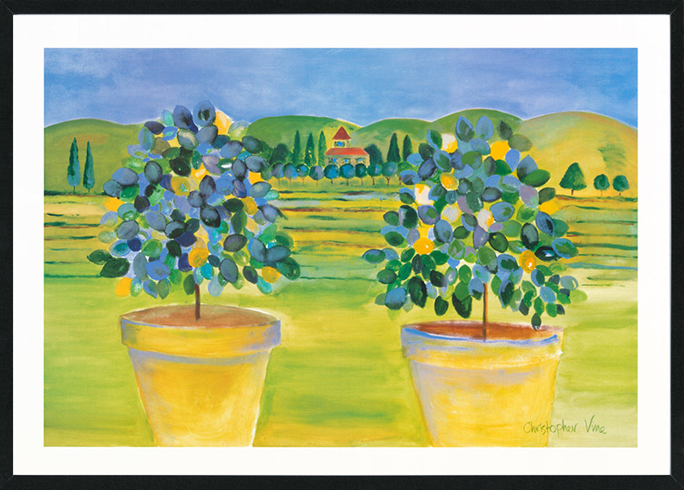 Christopher Vine CV2000 Tuscany 840x594mm in black frame