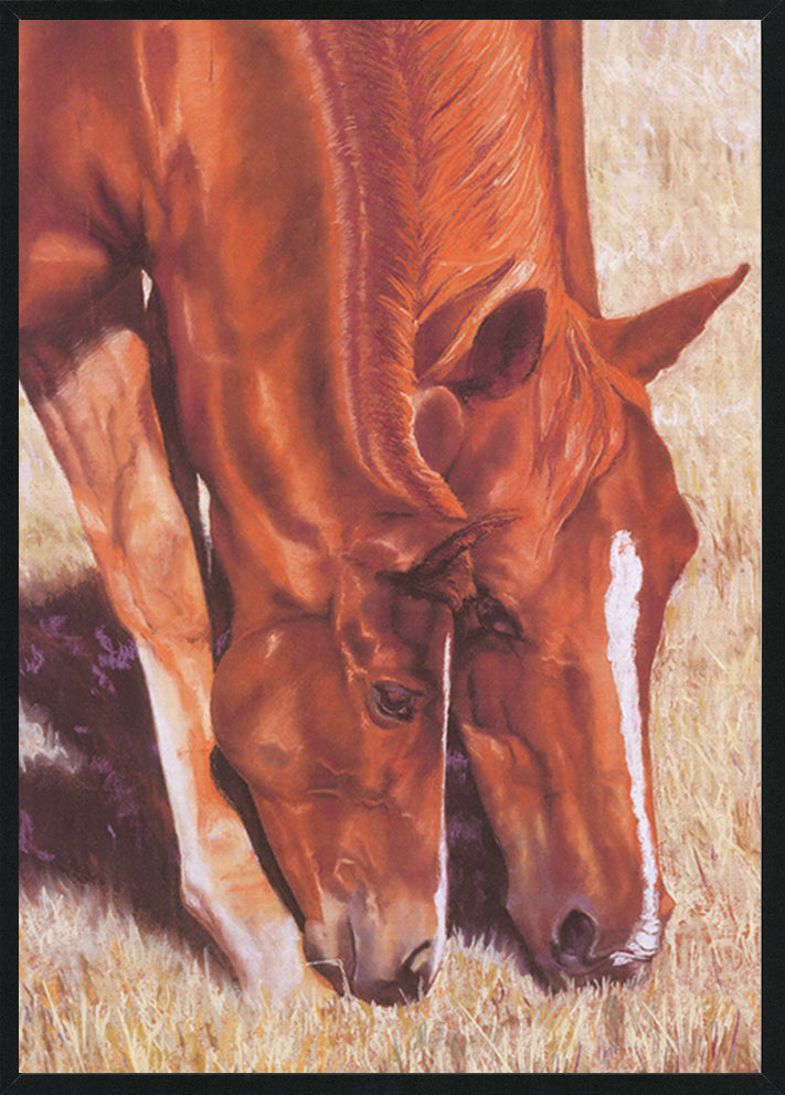Fiona Anderson FA01 Mother & Child A2 Black frame Horse and Foal