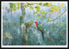 James Luck  JL001 Wildlife 1 594x420mm in black frame Australian Birds