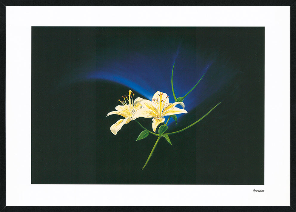 Phyllis Araneo AP001 Cyan Glow 594x420mm size Black frame