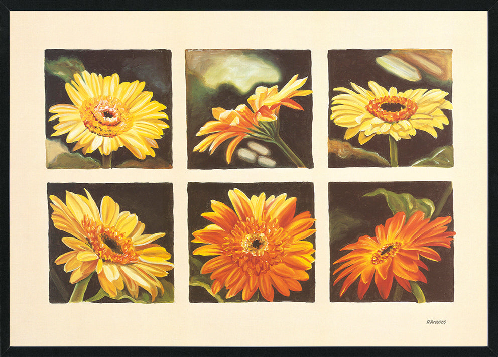 Phyllis Araneo AP006 Kaleidoscope of Gerberas 594x420mm size Black frame
