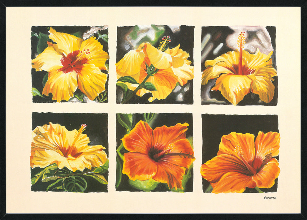 Phyllis Araneo AP005 Kaleidoscope of Hibiscus 594x420mm size Black frame