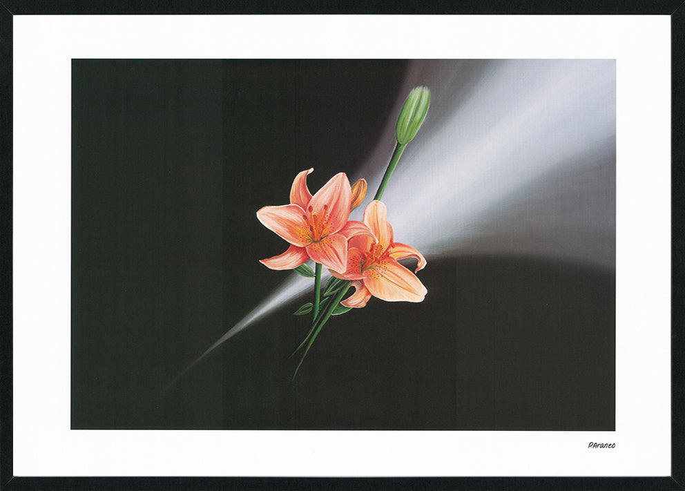 Phyllis Araneo AP004 Opaque Glow Lemon Glow 594x420mm size Black frame