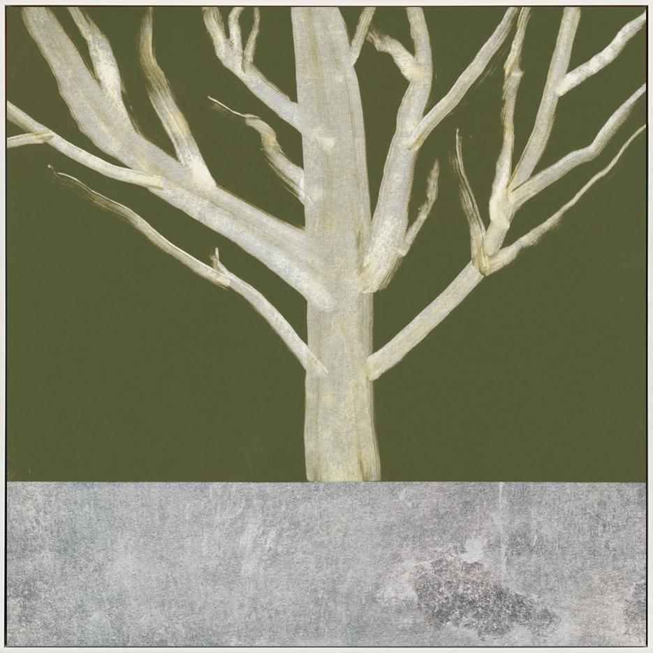canvas_frame