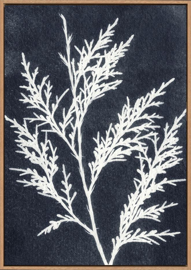 canvas_frame