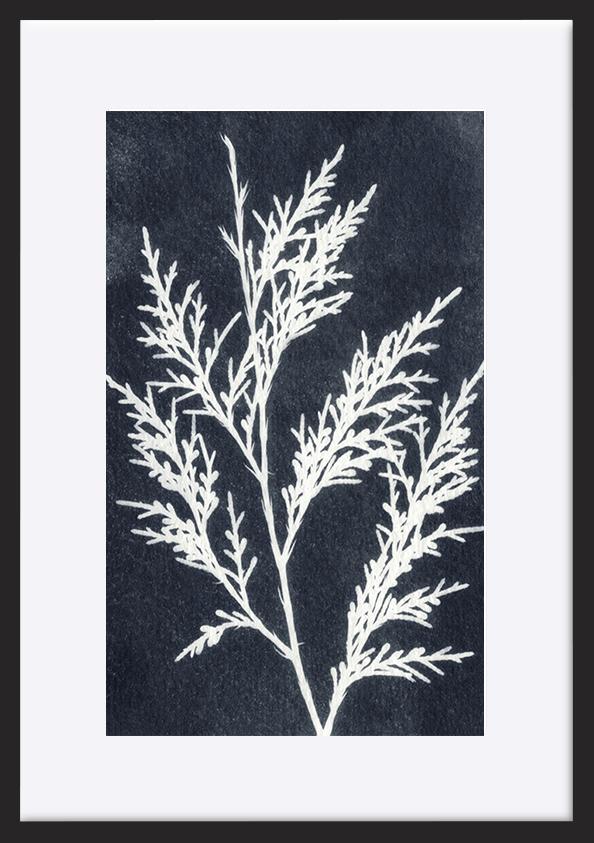 paper_frame