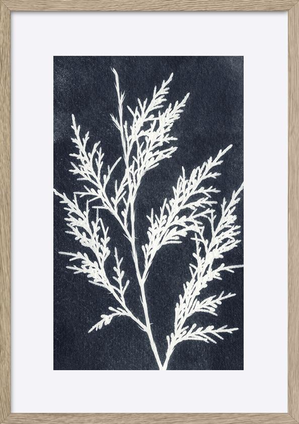 paper_frame