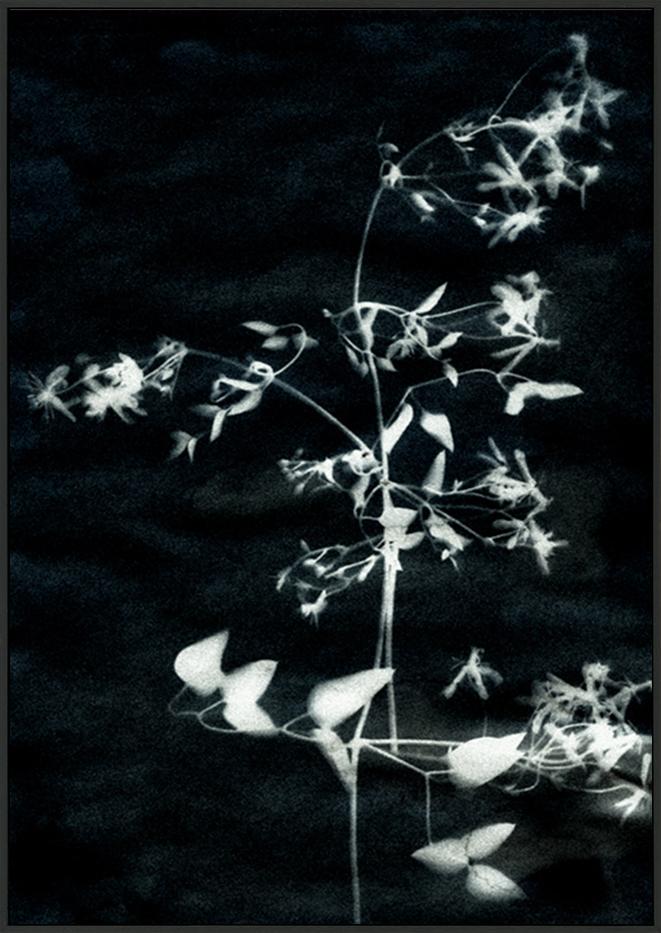 canvas_frame