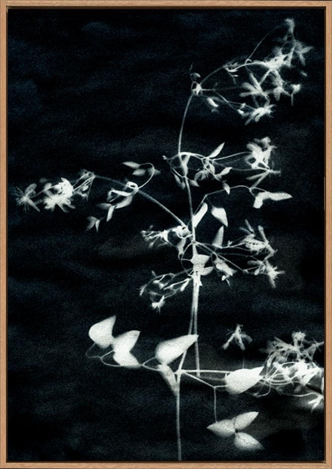 canvas_frame
