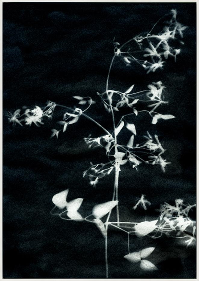 canvas_frame