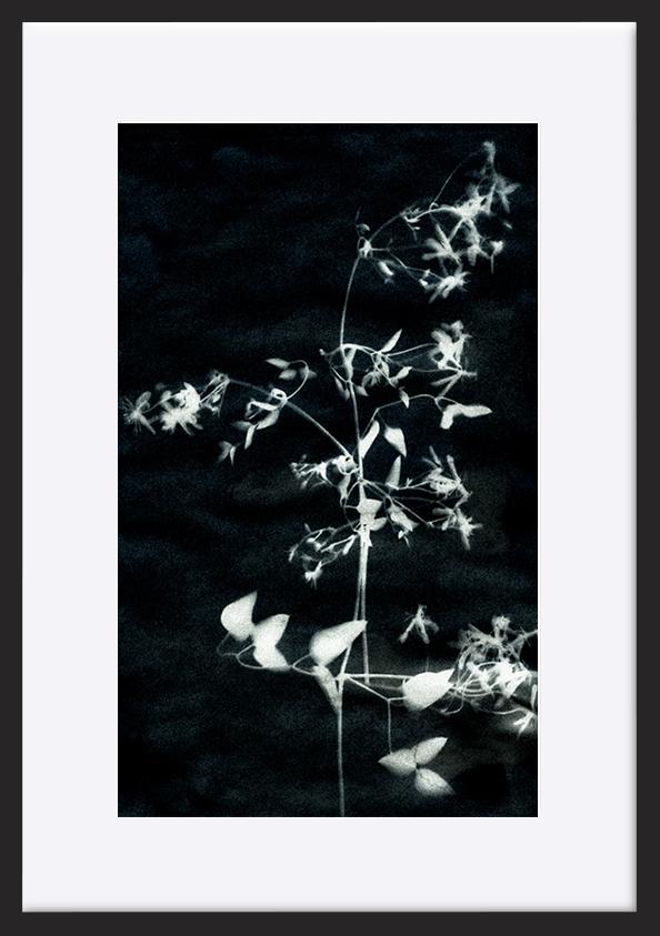 paper_frame