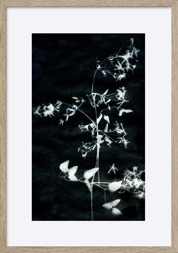 paper_frame