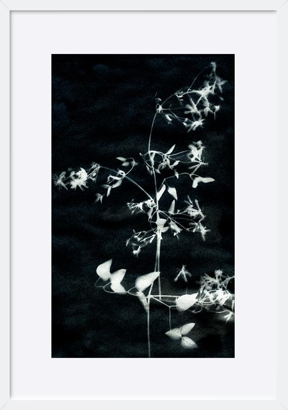 paper_frame