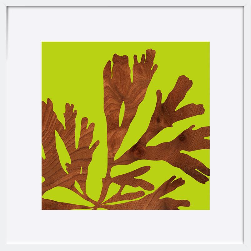 paper_frame