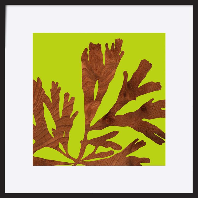 paper_frame
