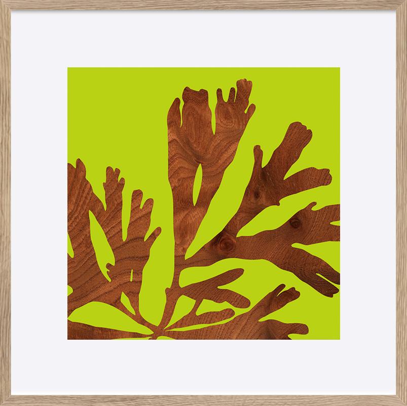 paper_frame