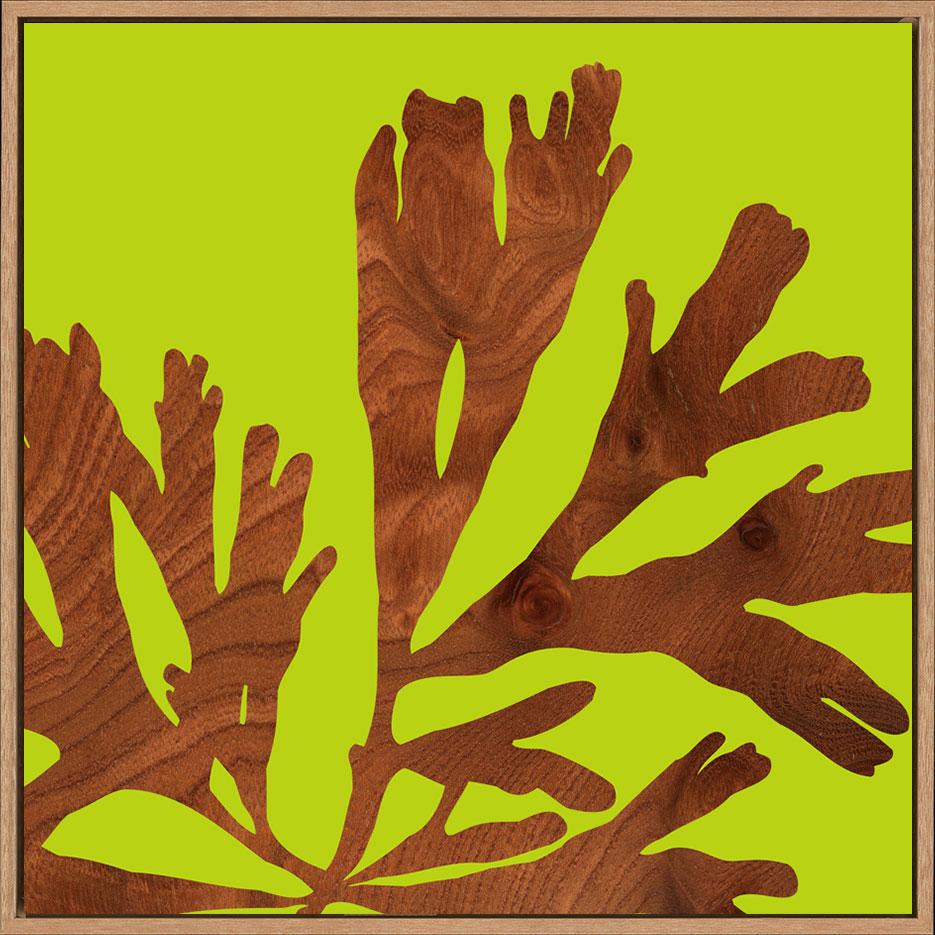 canvas_frame