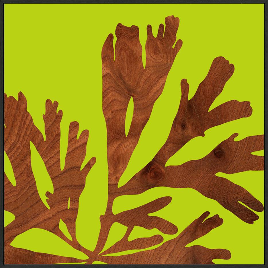 canvas_frame