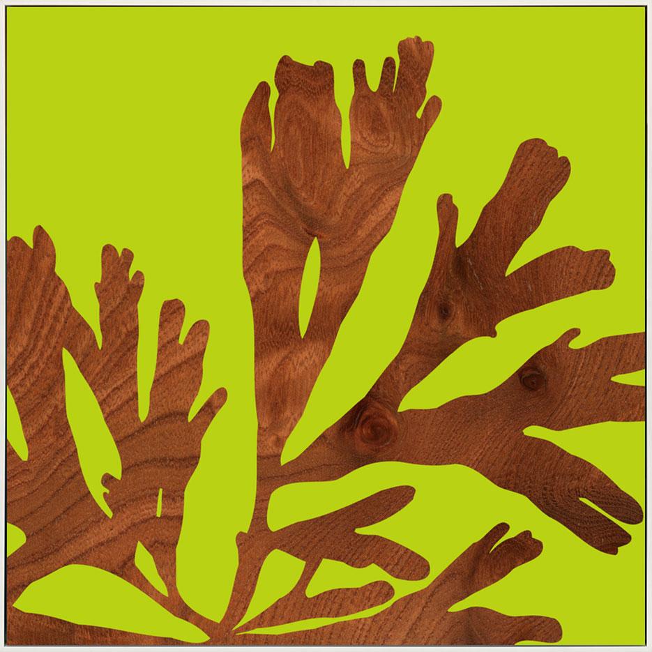 canvas_frame