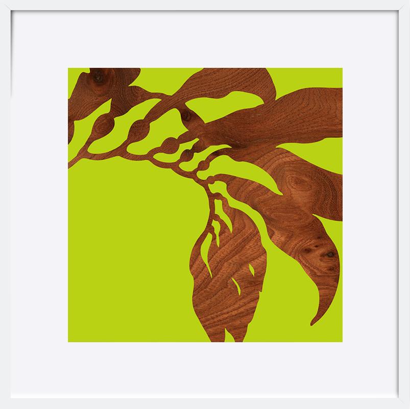 paper_frame