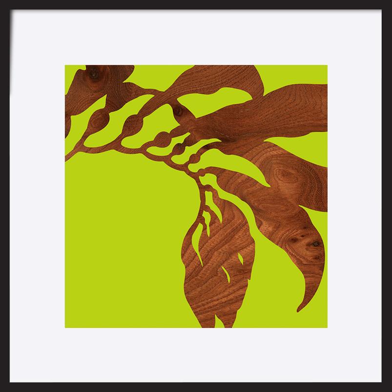 paper_frame